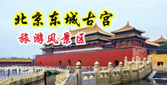 嗯啊好舒服啊嗯漫画中国北京-东城古宫旅游风景区